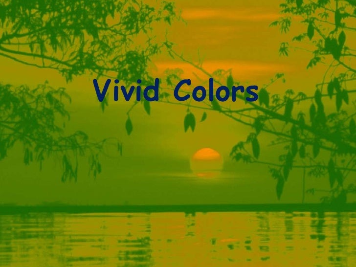 Vivid Colors<br />