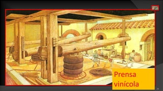 26Prensavinícola