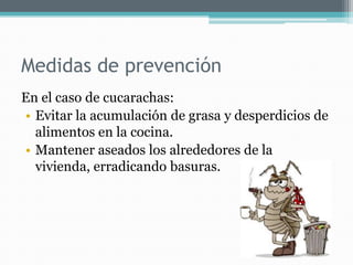 Medidas de prevención
En el caso de cucarachas:
• Evitar la acumulación de grasa y desperdicios de
alimentos en la cocina.
• Mantener aseados los alrededores de la
vivienda, erradicando basuras.

 