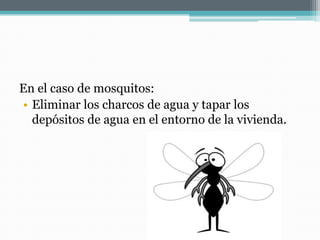 En el caso de mosquitos:
• Eliminar los charcos de agua y tapar los
depósitos de agua en el entorno de la vivienda.

 