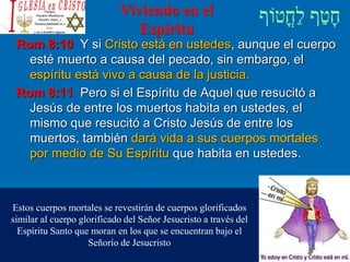 Viviendo en el
Espíritu
Rom 8:10 Y si Cristo está en ustedes, aunque el cuerpo
esté muerto a causa del pecado, sin embargo, el
espíritu está vivo a causa de la justicia.
Rom 8:11 Pero si el Espíritu de Aquel que resucitó a
Jesús de entre los muertos habita en ustedes, el
mismo que resucitó a Cristo Jesús de entre los
muertos, también dará vida a sus cuerpos mortales
por medio de Su Espíritu que habita en ustedes.
Estos cuerpos mortales se revestirán de cuerpos glorificados
similar al cuerpo glorificado del Señor Jesucristo a través del
Espíritu Santo que moran en los que se encuentran bajo el
Señorío de Jesucristo
 