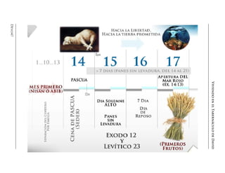 ViviendoenelTabernáculodeDavid
Devo47
 