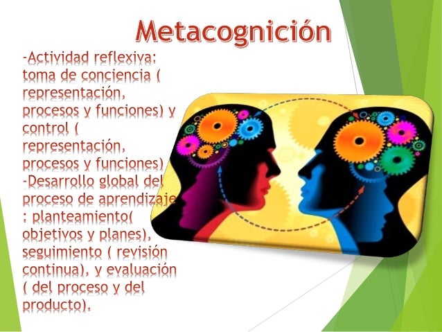 Viviendo la metacognición