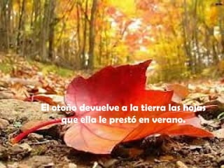 El otoño devuelve a la tierra las hojas
que ella le prestó en verano.