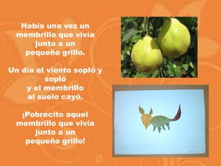 Había una vez un
membrillo que vivía
junto a un
pequeño grillo.
Un día el viento sopló y
sopló
y el membrillo
al suelo cayó.
¡Pobrecito aquel
membrillo que vivía
junto a un
pequeño grillo!
