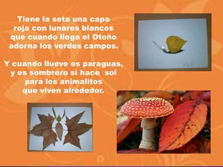 Tiene la seta una capa
roja con lunares blancos
que cuando llega el Otoño
adorna los verdes campos.
Y cuando llueve es paraguas,
y es sombrero si hace sol
para los animalitos
que viven alrededor.