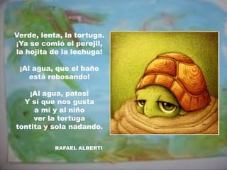 Verde, lenta, la tortuga.
¡Ya se comió el perejil,
la hojita de la lechuga!
¡Al agua, que el baño
está rebosando!
¡Al agua, patos!
Y sí que nos gusta
a mí y al niño
ver la tortuga
tontita y sola nadando.
RAFAEL ALBERTI