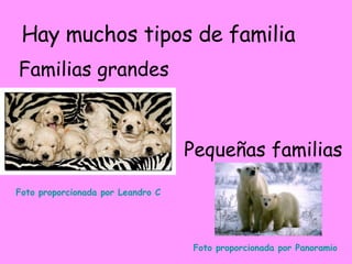 Hay muchos tipos de familia Familias grandes  Pequeñas familias  Foto proporcionada por Leandro C Foto proporcionada por  ...