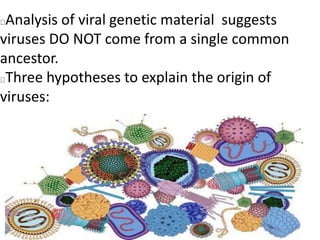 Analysis of viral genetic material suggests
viruses DO NOT come from a single common
ancestor.
Three hypotheses to explain the origin of
viruses:
