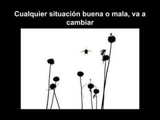 Cualquier situación buena o mala, va a cambiar 