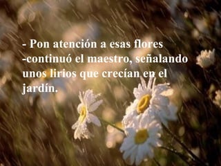 - Pon atención a esas flores
-continuó el maestro, señalando
unos lirios que crecían en el
jardín.
 