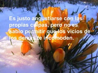 Es justo angustiarse con las
propias culpas, pero no es
sabio permitir que los vicios de
los demás te incomoden.
 