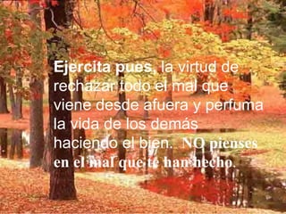 Ejercita pues, la virtud de
rechazar todo el mal que
viene desde afuera y perfuma
la vida de los demás
haciendo el bien. NO pienses
en el mal que te han hecho.
 