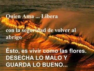 Quien Ama ... Libera

con la seguridad de volver al
abrigo

Ésto, es vivir como las flores.
DESECHA LO MALO Y
GUARDA LO BUENO...
 