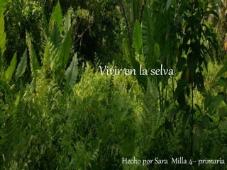 Vivir en la selva
Hecho por Sara Milla 4-· primaria
 