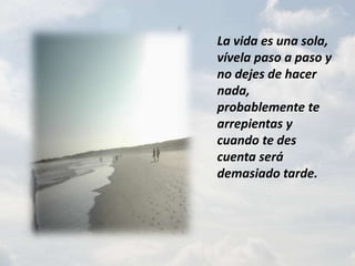 La vida es una sola, vívela paso a paso y no dejes de hacer nada, probablemente te arrepientas y cuando te des cuenta será demasiado tarde.