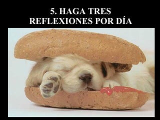 5. HAGA TRES REFLEXIONES POR DÍA
