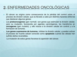 2. ENFERMEDADES ONCOLÓGICAS
 El cáncer se origina como consecuencia de la pérdida del control sobre el
proceso de división celular, que es llevado a cabo por distintos factores entre los
que destacan algunos genes:
 Los protooncogenes (gen normal) son genes que estimulan la división celular,
pero su mutación, favorecida por agentes carcinógenos, los transforma en
oncogenes (gen mutado), y ello induce a la división celular sin control y a la
formación de tumores.
 Los genes supresores de tumores, inhiben la división celular y pueden activar
el proceso de muerte celular conocido como apoptosis cuando las células han
sufrido daños reversibles.
La mutación de estos genes favorece la aparición del cáncer.
 