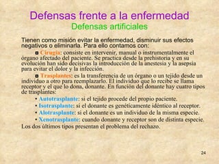 Defensas frente a la enfermedad Defensas artificiales Tienen como misión evitar la enfermedad, disminuir sus efectos negativos o eliminarla. Para ello contamos con: ◘  Cirugía : consiste en intervenir, manual o instrumentalmente el órgano afectado del paciente. Se practica desde la prehistoria y en su evolución han sido decisivas la introducción de la anestesia y la asepsia para evitar el dolor y la infección. ◘  Trasplantes :  es la transferencia de un órgano o un tejido desde un individuo a otro para reemplazarlo. El individuo que lo recibe se llama receptor y el que lo dona, donante .  En función del donante hay cuatro tipos de trasplantes:  ▪  Autotrasplante : si el tejido procede del propio paciente. ▪  Isotrasplante : si el donante es genéticamente idéntico al receptor. ▪  Alotrasplante : si el donante es un individuo de la misma especie. ▪  Xenotrasplante : cuando donante y receptor son de distinta especie. Los dos últimos tipos presentan el problema del rechazo. 
