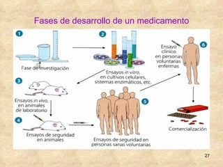 Fases de desarrollo de un medicamento 