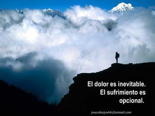 El dolor es inevitable. El sufrimiento es opcional.   [email_address] 