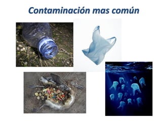 Contaminación mas común
 