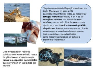 “Según una revisión bibliográﬁca realizada por
Gall y Thompson, en base a 340
publicaciones cientíﬁcas, todas las especies de
tortugas marinas conocidas, el 54 % de los
mamíferos marinos y el 56% de las aves
marinas y menos del 1 % de los peces, están
afectados por el enredamiento o ingestión
de plástico. Además, observan que un 17 % de
especies que se enredan en la basura o que
ingieren plástico, están clasiﬁcadas
como especies vulnerables, en peligro o
próximas a la extinción”
Una investigación reciente -
publicada en Nature- halló restos
de plástico en absolutamente
todas las especies comerciales
que se venden en las lonjas del
mundo”
 