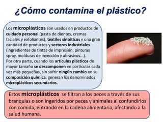 ¿Cómo contamina el plástico?
Estos microplásticos se filtran a los peces a través de sus
branquias o son ingeridos por peces y animales al confundirlos
con comida, entrando en la cadena alimentaria, afectando a la
salud humana.
Los microplásticos son usados en productos de
cuidado personal (pasta de dientes, cremas
faciales y exfoliantes), textiles sintéticos y una gran
cantidad de productos y sectores industriales
(ingredientes de tintas de impresión, pinturas
spray, molduras de inyección y abrasivos...).
Por otra parte, cuando los artículos plásticos de
mayor tamaño se descomponen en partículas cada
vez más pequeñas, sin sufrir ningún cambio en su
composición química, generan los denominados
microplásticos secundarios.
 