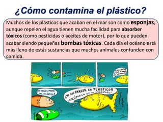 ¿Cómo contamina el plástico?
Muchos de los plásticos que acaban en el mar son como esponjas,
aunque repelen el agua tienen mucha facilidad para absorber
tóxicos (como pesticidas o aceites de motor), por lo que pueden
acabar siendo pequeñas bombas tóxicas. Cada día el océano está
más lleno de estás sustancias que muchos animales confunden con
comida.
 