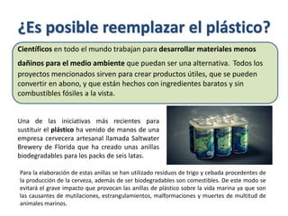 ¿Es posible reemplazar el plástico?
Científicos en todo el mundo trabajan para desarrollar materiales menos
dañinos para el medio ambiente que puedan ser una alternativa. Todos los
proyectos mencionados sirven para crear productos útiles, que se pueden
convertir en abono, y que están hechos con ingredientes baratos y sin
combustibles fósiles a la vista.
Una de las iniciativas más recientes para
sustituir el plástico ha venido de manos de una
empresa cervecera artesanal llamada Saltwater
Brewery de Florida que ha creado unas anillas
biodegradables para los packs de seis latas.
Para la elaboración de estas anillas se han utilizado residuos de trigo y cebada procedentes de
la producción de la cerveza, además de ser biodegradables son comestibles. De este modo se
evitará el grave impacto que provocan las anillas de plástico sobre la vida marina ya que son
las causantes de mutilaciones, estrangulamientos, malformaciones y muertes de multitud de
animales marinos.
 