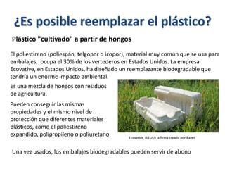 Plástico "cultivado" a partir de hongos
Es una mezcla de hongos con residuos
de agricultura.
Ecovative, (EEUU) la firma creada por Bayer.
Una vez usados, los embalajes biodegradables pueden servir de abono
El poliestireno (poliespán, telgopor o icopor), material muy común que se usa para
embalajes, ocupa el 30% de los vertederos en Estados Unidos. La empresa
Ecovative, en Estados Unidos, ha diseñado un reemplazante biodegradable que
tendría un enorme impacto ambiental.
Pueden conseguir las mismas
propiedades y el mismo nivel de
protección que diferentes materiales
plásticos, como el poliestireno
expandido, polipropileno o poliuretano.
¿Es posible reemplazar el plástico?
 