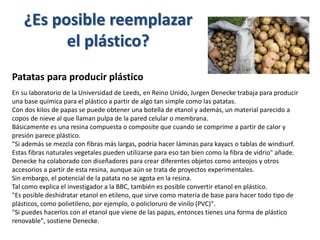 ¿Es posible reemplazar
el plástico?
Patatas para producir plástico
En su laboratorio de la Universidad de Leeds, en Reino Unido, Jurgen Denecke trabaja para producir
una base química para el plástico a partir de algo tan simple como las patatas.
Con dos kilos de papas se puede obtener una botella de etanol y además, un material parecido a
copos de nieve al que llaman pulpa de la pared celular o membrana.
Básicamente es una resina compuesta o composite que cuando se comprime a partir de calor y
presión parece plástico.
"Si además se mezcla con fibras más largas, podría hacer láminas para kayacs o tablas de windsurf.
Estas fibras naturales vegetales pueden utilizarse para eso tan bien como la fibra de vidrio" añade.
Denecke ha colaborado con diseñadores para crear diferentes objetos como anteojos y otros
accesorios a partir de esta resina, aunque aún se trata de proyectos experimentales.
Sin embargo, el potencial de la patata no se agota en la resina.
Tal como explica el investigador a la BBC, también es posible convertir etanol en plástico.
"Es posible deshidratar etanol en etileno, que sirve como materia de base para hacer todo tipo de
plásticos, como polietileno, por ejemplo, o policloruro de vinilo (PVC)".
"Si puedes hacerlos con el etanol que viene de las papas, entonces tienes una forma de plástico
renovable", sostiene Denecke.
 