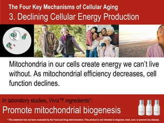The Four Key Mechanisms of Cellular Aging Mitochondria in our cells create energy we can’t live without. As mitochondrial efficiency decreases, cell function declines.  In laboratory studies, Vivix™ ingredients*:  Promote mitochondrial biogenesis 2 1 3 3. Declining Cellular Energy Production * This statement has not been evaluated by the Food and Drug Administration. This product is not intended to diagnose, treat, cure, or prevent any disease.  