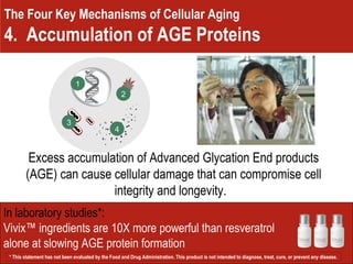 The Four Key Mechanisms of Cellular Aging 4.  Accumulation of AGE Proteins Excess accumulation of Advanced Glycation End products (AGE) can cause cellular damage that can compromise cell integrity and longevity.  In laboratory studies*:  Vivix™ ingredients are 10X more powerful than resveratrol alone at slowing AGE protein formation  1 2 3 4 * This statement has not been evaluated by the Food and Drug Administration. This product is not intended to diagnose, treat, cure, or prevent any disease.  