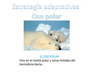 EL OSO POLAR
Vive en el medio polar y zonas heladas del
Hemisferio Norte.
 
