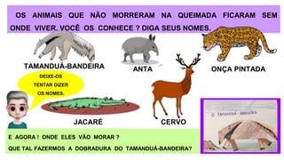 OS ANIMAIS QUE NÃO MORRERAM NA QUEIMADA FICARAM SEM
ONDE VIVER. VOCÊ OS CONHECE ? DIGA SEUS NOMES.
JACARÉ
ANTA ONÇA PINTADA
CERVO
TAMANDUÁ-BANDEIRA
E AGORA ! ONDE ELES VÃO MORAR ?
QUE TAL FAZERMOS A DOBRADURA DO TAMANDUÁ-BANDEIRA?
DEIXE-OS
TENTAR DIZER
OS NOMES.
 