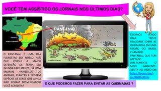 VOCÊ TEM ASSISTIDO OS JORNAIS NOS ÚLTIMOS DIAS?
O QUE PODEMOS FAZER PARA EVITAR AS QUEIMADAS ?
ESTAMOS VENDO
UMA TRISTE
REALIDADE SOBRE AS
QUEIMADAS EM UMA
REGIÃO DO BRASIL
CHAMADO
PANTANAL, QUE TEM
AFETADO
DIRETAMENTE O
MEIO AMBIENTE.
ASSITA AO VÍDEO EM
https://youtu.be/-
mUKbDAC0mU
O PANTANAL É UMA DAS
FLORESTAS DO NOSSO PAÍS
QUE POSSUI A MAIOR
EXTENSÃO DE TERRA ELA
INUNDA FACILMENTE. HÁ UMA
ENORME VARIEDADE DE
ANIMAIS, PLANTAS E EXISTEM
ESPÉCIES DE SERES QUE AINDA
NÃO FORAM DESVENDADOS!
VOCÊ ACREDITA?
PANTANAL
 
