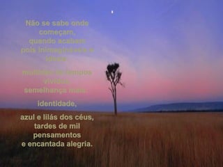 Não se sabe onde começam, quando acabam pois inimagináveis e ideais. multidão de tempos vividos, semelhança mais:  identidade, azul e lilás dos céus, tardes de mil pensamentos e encantada alegria. 