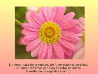 Sin Amor nada tiene sentido, sin Amor estamos perdidos,  sin Amor corremos el riesgo de estar de nuevo  transitando de espaldas a la luz.  