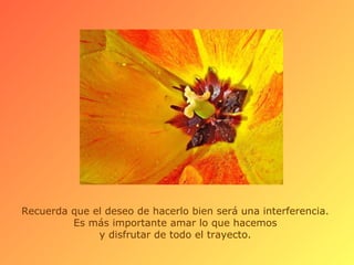 Recuerda que el deseo de hacerlo bien será una interferencia.  Es más importante amar lo que hacemos  y disfrutar de todo el trayecto.  