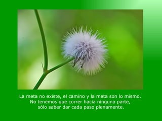 La meta no existe, el camino y la meta son lo mismo.  No tenemos que correr hacia ninguna parte,  sólo saber dar cada paso plenamente. 