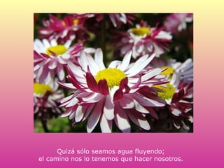 Quizá sólo seamos agua fluyendo;  el camino nos lo tenemos que hacer nosotros.  