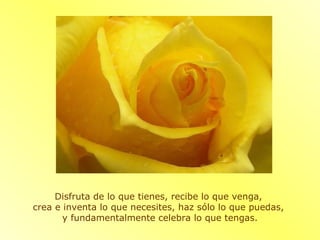 Disfruta de lo que tienes, recibe lo que venga,  crea e inventa lo que necesites, haz sólo lo que puedas,  y fundamentalmente celebra lo que tengas. 