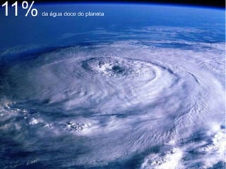 11%   da água doce do planeta
 