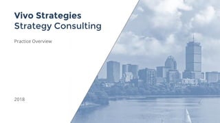 Vivo Strategies
Strategy Consulting
Practice Overview
2018
 