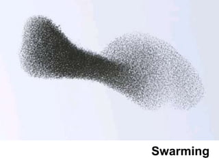 Swarming
 