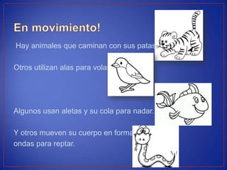 Hay animales que caminan con sus patas.
Otros utilizan alas para volar.
Algunos usan aletas y su cola para nadar.
Y otros mueven su cuerpo en forma de
ondas para reptar.