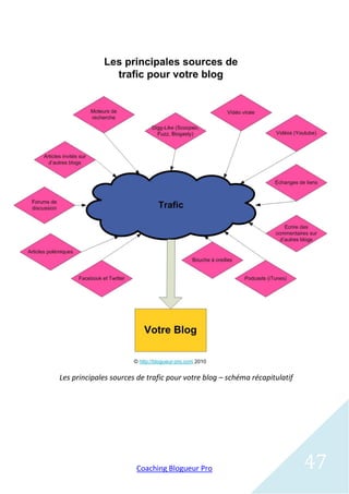 Les principales sources de trafic pour votre blog – schéma récapitulatif




                       Coaching Blogueur Pro                               47
 