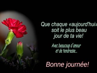 Que chaque «aujourd'hui» soit le plus beau jour de ta vie! Bonne journée! Avec beaucoup d'amour et de tendresse... 