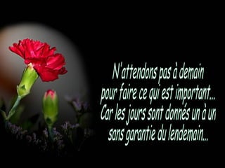 N'attendons pas à demain pour faire ce qui est important... Car les jours sont donnés un à un sans garantie du lendemain... 
